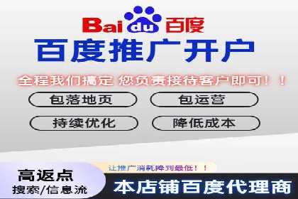 百度SEO推广公司案例汇编：实战优化策略全解析